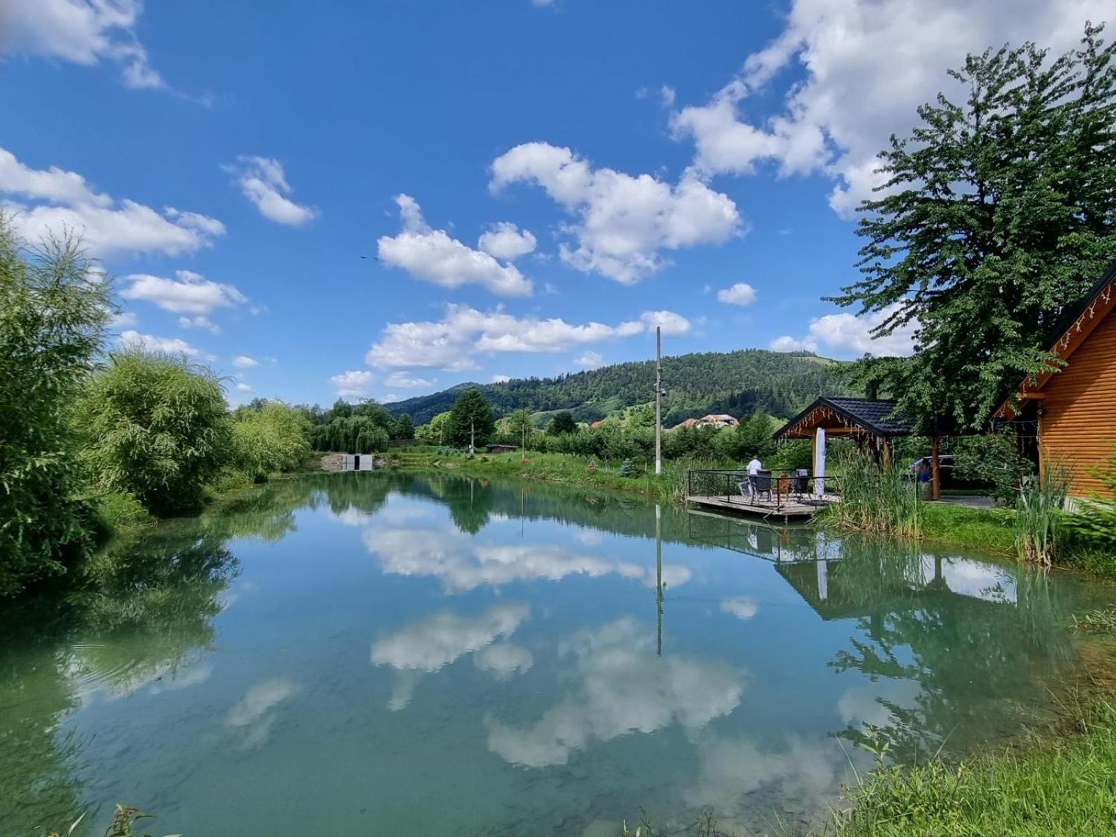 Moonlake Chalet Gainesti Dış mekan fotoğraf