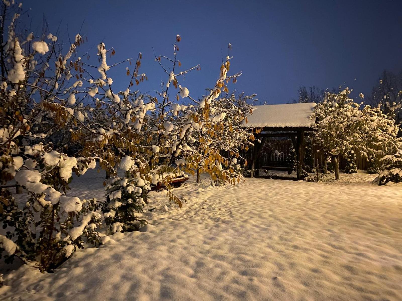 Moonlake Chalet Gainesti Dış mekan fotoğraf