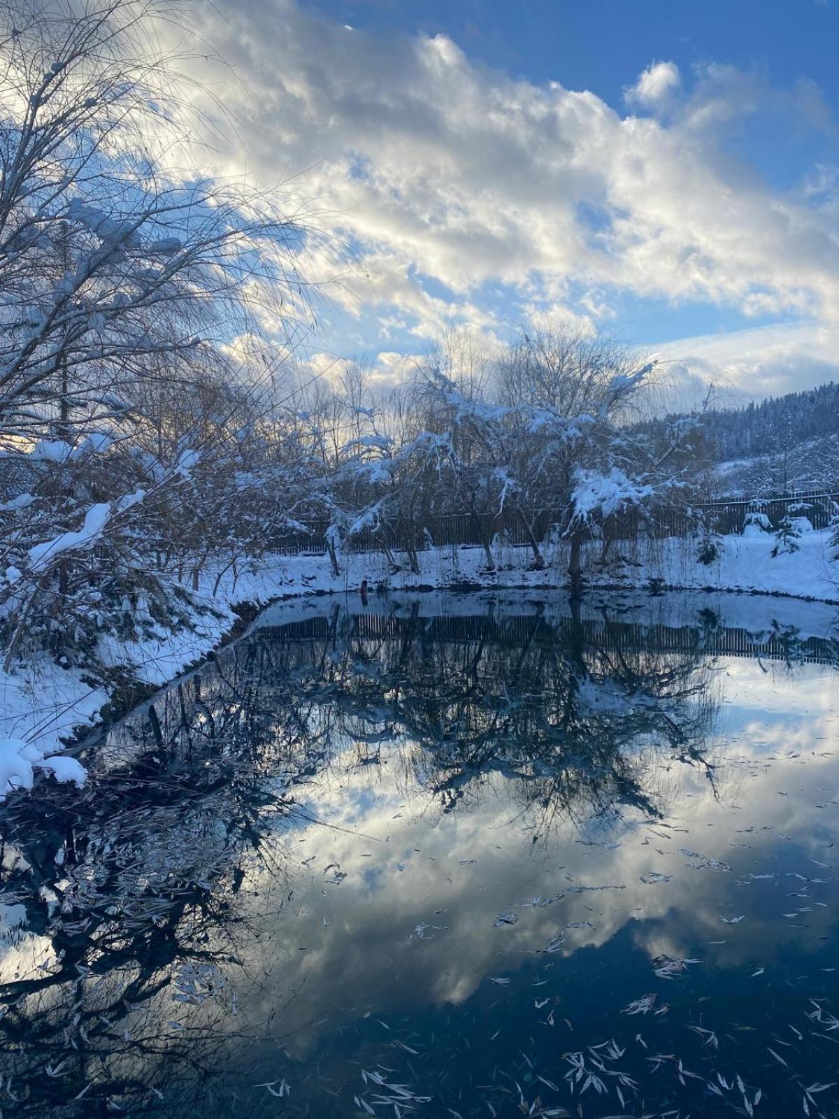 Moonlake Chalet Gainesti Dış mekan fotoğraf
