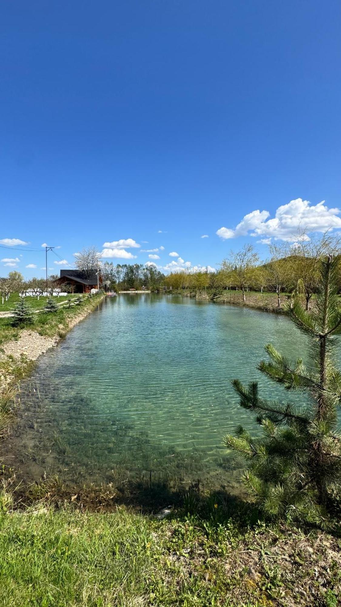 Moonlake Chalet Gainesti Dış mekan fotoğraf