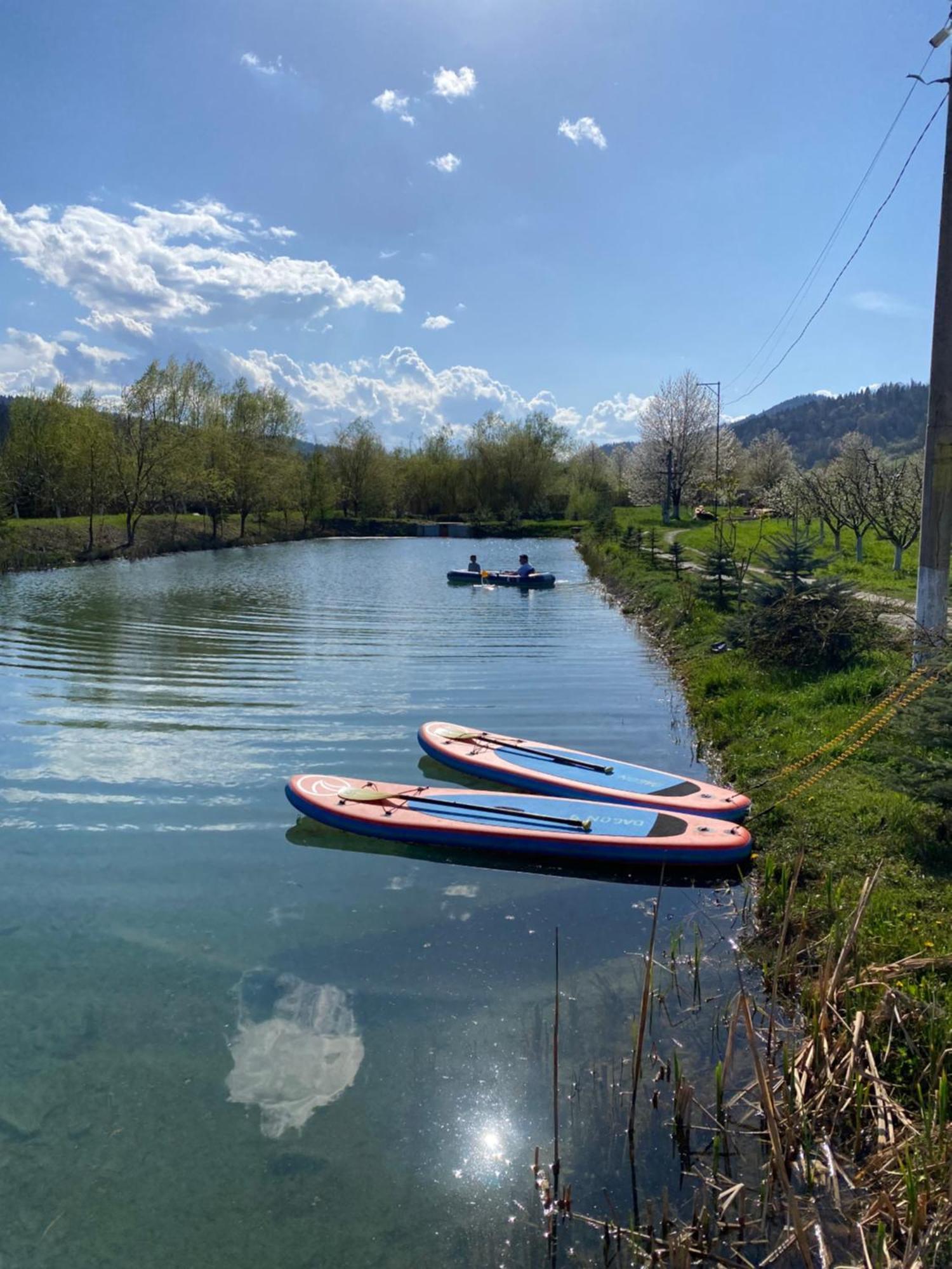 Moonlake Chalet Gainesti Dış mekan fotoğraf